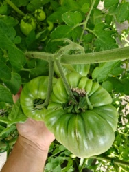 b3334efd-a841-4b4d-8858-c471879d64ff