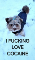 0c80e803-31a6-4ec2-a113-70b9d3df60f0