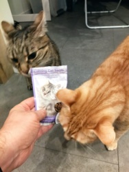 e392d851-607f-4c4b-bad2-9cba429c8a31