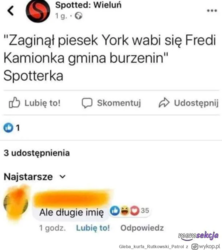 b94d5f8e-0aed-40a6-b098-adff1f778994