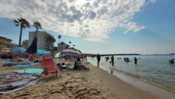 0f6f97ed-2a17-437c-b075-be2286557f15