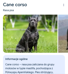 8de15f25-6d73-4a9f-818d-bc41104b9d18