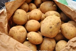 01f8c84e-1c09-4a0d-aa23-372b05636008