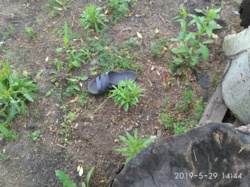 53e5a04a-89ac-4675-925e-95e2e2ebf129