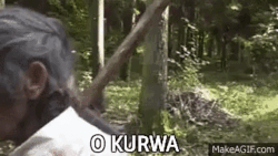 4ad3601e-a03f-47c5-81c2-1353728f454b