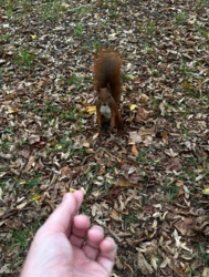 608a1f3e-e027-4b9b-a325-ca3c809ba9e0