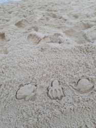 65695301-0db1-4c31-8ff4-299e59e141d5