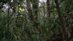 b6180b1c-fc2c-48f5-b2e2-a004164d5233