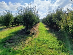 c45b2568-5c30-4697-ac9b-de2bc120049c