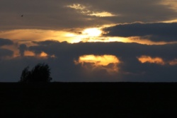 d104c766-0c84-4650-b1d4-7a473aa7161b