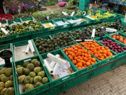 1ee55692-38d5-4888-b50d-bb1b8286b8f0