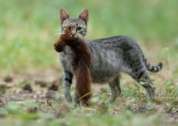 a579c89c-4ef1-4ea1-bdbe-414a5f5ede39