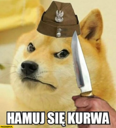 2acb2afe-3064-4a01-99bd-d63f3b2e58d7