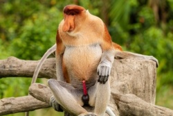 2bc30a47-e94b-4424-a06f-8a5db4eae2c9