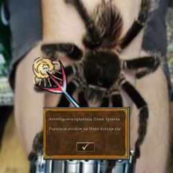 54cca0ec-1e42-47ca-af79-0d177154b875