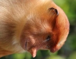 f69aa817-bd0d-4359-9179-bf414033cfb2