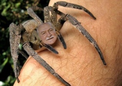 b7d85aa5-1988-497e-89e9-bb16e0c9ac98