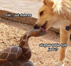 7b2cda41-1895-47e5-80bc-768acc5ba075