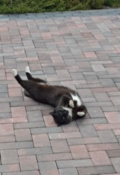 167c01da-ce94-49e0-8421-fa109b5551d6