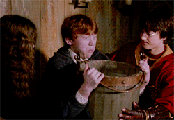 ee7a8132-a9b0-45ca-b194-1c611d7d601e