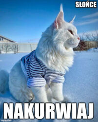 eb96809d-dcd0-478b-a5ea-97afb4bfa08c