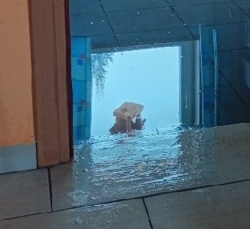 2bb05c30-1c71-45ba-a216-4b82aaed6b70