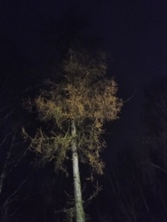 a2627bd1-d5dd-4ab2-82da-bba3013e0f76