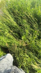 ff63990b-1a92-4c6e-a313-8d27cd43c940