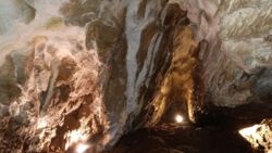 35bf02ea-cad6-4c4b-9b7d-dde96c12a98f