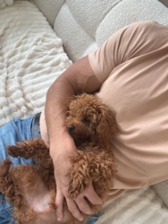 e77c460b-d159-422e-ac30-7437258cb0ce