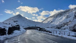 f8da15f0-fc6e-4724-9cf3-bee0a2984afa