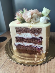 1a0cc566-d795-449b-acfd-509cebbc3c0d