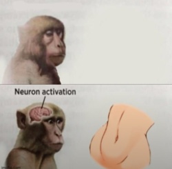 3cb8ada9-9638-4a0d-9cb0-b751c7ec94a0