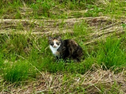 71b030e0-1d89-4e4b-81f7-cf6c24e9d004