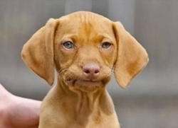 1f27554e-981a-4542-bb0f-64b7472dce7d