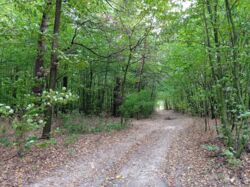 f73a6b87-3cd5-4d31-af17-95f0f251ece2