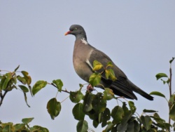 c9eb9d4f-0531-4a8b-9645-8d7ea57945c6