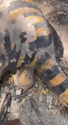 b943d2f7-242c-4736-9560-4a19ef31367d