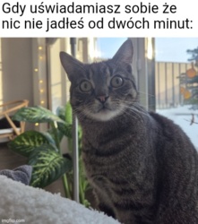 3fd6e138-1094-4824-8c62-4f153b5d3270