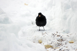 2c5a4a81-08d7-46bd-b1c2-4b8b63bd7c18