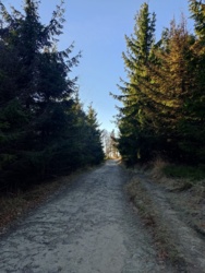 8a9b4ff1-3952-4f09-b42e-a4e82a78220d