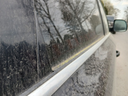 86f22d1c-636a-4e76-8e12-a87b68a29195