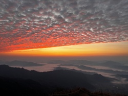 2a33baea-ede8-4017-ab9b-ccc027b1277e