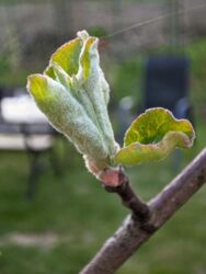 4c01bbf2-b5ec-4a36-bdb3-c2a309449eb7