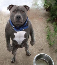 31028a09-f9c7-4a0d-9635-3ffe4c617d1e