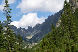 8be3e50e-b6d0-49ed-a587-5851c1bf1e7c