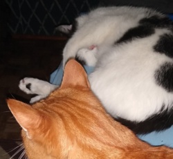 91c82859-1427-4466-ac79-32884c37639f