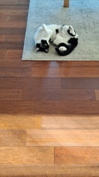 20c85c83-a2eb-4578-bec7-ff9831202328