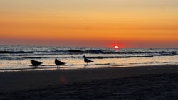 02dc9237-4536-425d-b47c-7796d2e951ad