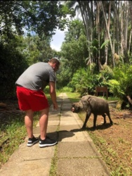 9ea7006a-35f4-495c-ab2f-0cb41b916289